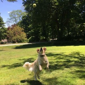 Meet your Posher, Gaby